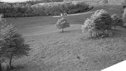 Virginia Elk Live Webcam - Oct 25, 2025, 7:20am EDT