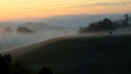 Virginia Elk Live Webcam - Nov 8, 2025, 7:10am EST
