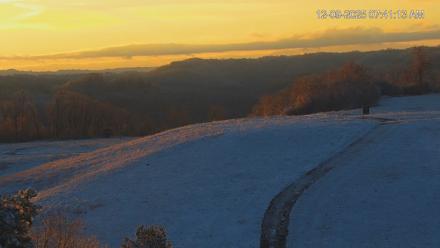 Virginia Elk Live Webcam - Dec 9, 2025, 7:41am EST