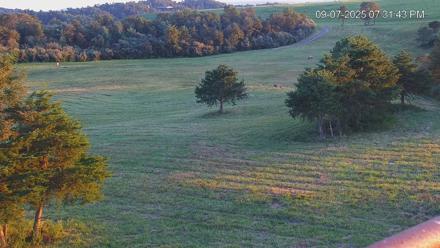 Virginia Elk Live Webcam - Sep 7, 2025, 7:32pm EDT