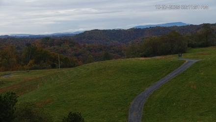 Virginia Elk Live Webcam - Oct 27, 2025, 8:12am EDT