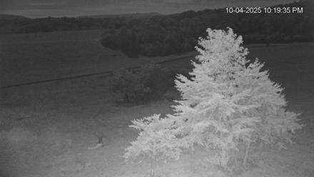 Virginia Elk Live Webcam - Oct 4, 2025, 10:20pm EDT