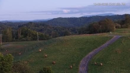 Virginia Elk Live Webcam - Oct 8, 2025, 7:22pm EDT