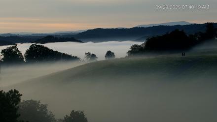 Virginia Elk Live Webcam - Sep 29, 2025, 7:40am EDT