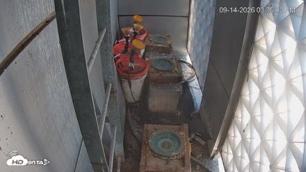 Reston Town Center Falcon Live Cam - Sep 14, 2026, 3:35pm EDT