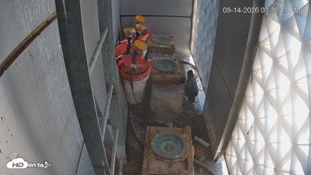 Reston Town Center Falcon Live Cam - Sep 14, 2026, 3:34pm EDT