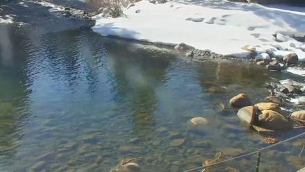 Tahoe City's River Ranch Lodge Live Cam - Feb 2, 2026, 11:24am PST