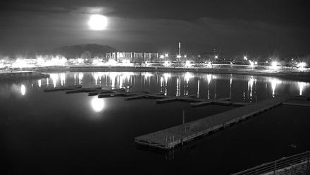 Sparks Water Bar Live Webcam - Feb 1, 2026, 6:24am PST