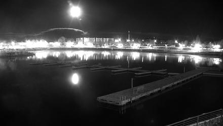 Sparks Water Bar Live Webcam - Dec 3, 2025, 4:42am PST