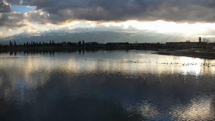 Sparks Water Bar Live Webcam - Mar 1, 2026, 5:11pm PST