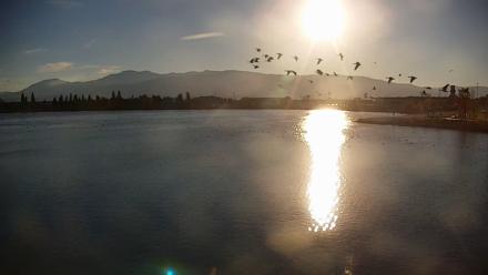 Sparks Water Bar Live Webcam - Nov 2, 2025, 3:54pm PST