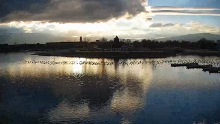 Sparks Water Bar Live Webcam - Mar 1, 2026, 5:15pm PST