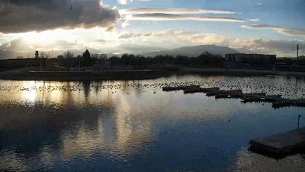 Sparks Water Bar Live Webcam - Mar 1, 2026, 5:14pm PST