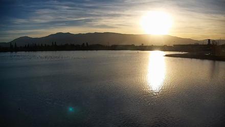 Sparks Water Bar Live Webcam - Nov 8, 2025, 4:11pm PST