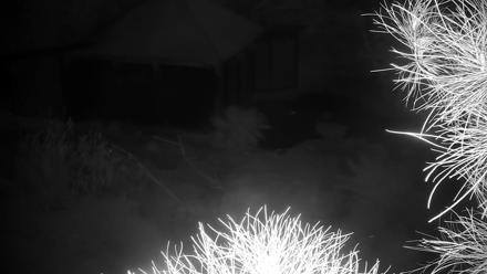 Reid Park Zoo Bears Live Webcam - Nov 27, 2025, 5:53pm MST