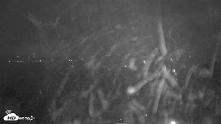 Hudson River Live Webcam - Jul 28, 2026, 8:43pm EDT