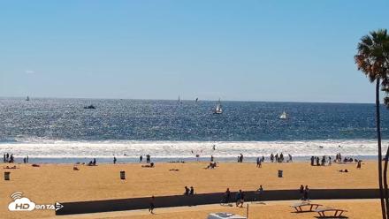 Venice Beach Live Surf Cam - Apr 11, 2026, 2:48pm PDT
