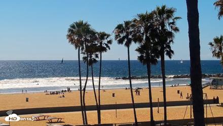 Venice Beach Live Surf Cam - Apr 11, 2026, 2:58pm PDT