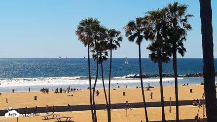 Venice Beach Live Surf Cam - Apr 11, 2026, 2:50pm PDT