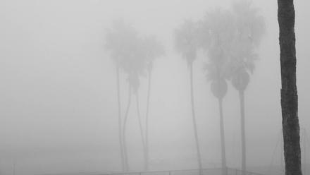 Venice Beach Live Surf Cam - Oct 21, 2025, 6:56am PDT