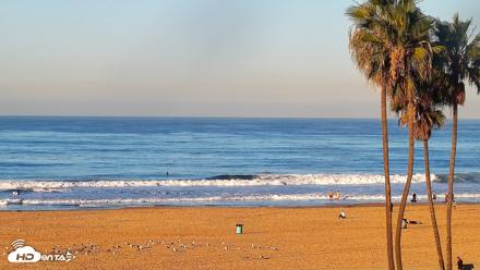 Venice Beach Roaming Live Surf Cam - Oct 19, 2026, 8:06am PDT