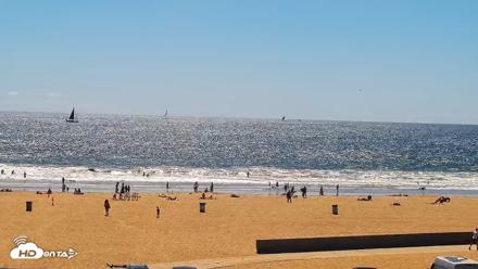 Venice Beach Live Surf Cam - Apr 11, 2026, 2:50pm PDT