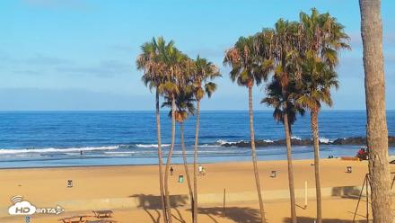 Venice Beach Live Surf Cam - Jul 6, 2026, 7:42am PDT