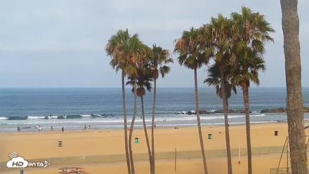 Venice Beach Live Surf Cam - Jul 14, 2026, 8:44am PDT