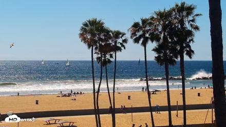 Venice Beach Live Surf Cam - Apr 11, 2026, 3:04pm PDT