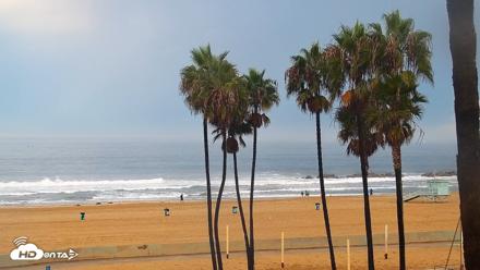 Venice Beach Live Surf Cam - Sep 7, 2026, 7:04am PDT