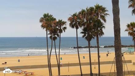 Venice Beach Live Surf Cam - Jun 8, 2026, 8:02am PDT