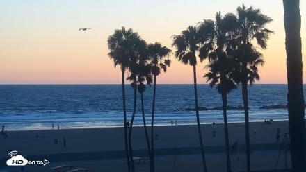 Venice Beach Live Surf Cam - Jun 20, 2026, 8:00pm PDT
