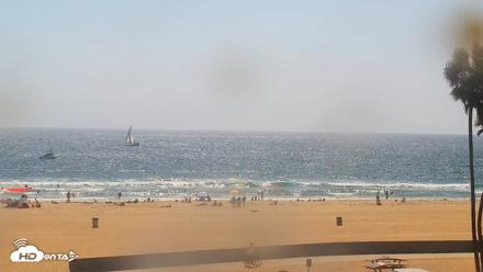 Venice Beach Live Surf Cam - Aug 4, 2026, 3:16pm PDT