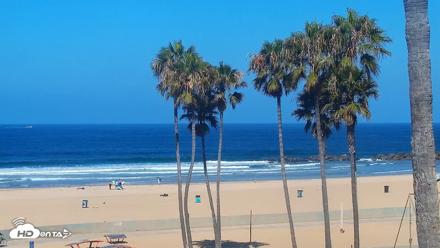 Venice Beach Live Surf Cam - Jul 8, 2026, 9:33am PDT