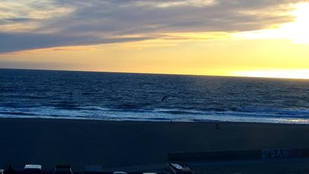 Venice Beach Live Surf Cam - Feb 12, 2026, 5:12pm PST
