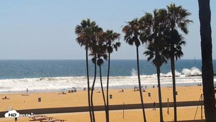 Venice Beach Live Surf Cam - Jun 9, 2026, 2:46pm PDT