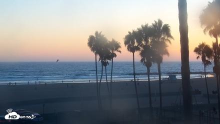 Venice Beach Live Surf Cam - Aug 19, 2026, 7:32pm PDT