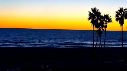 Venice Beach Live Surf Cam - Oct 16, 2025, 6:44pm PDT