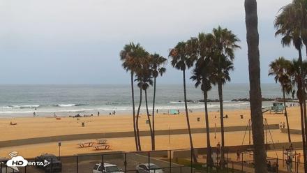Venice Beach Live Surf Cam - Jun 29, 2026, 1:15pm PDT