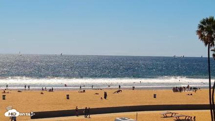 Venice Beach Live Surf Cam - Apr 11, 2026, 2:50pm PDT