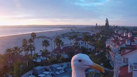 Hotel Del Coronado North Roaming Live Cam - Feb 5, 2026, 5:16pm PST