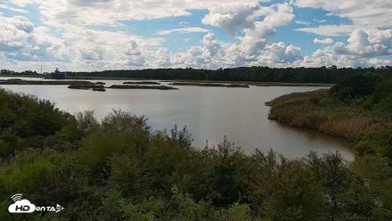 Hog Island Wildlife Management Area Live Cam - Sep 7, 2026, 10:53am EDT