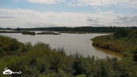 Hog Island Wildlife Management Area Live Cam - Aug 21, 2026, 12:39pm EDT
