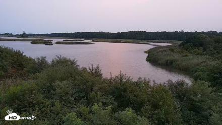 Hog Island Wildlife Management Area Live Cam - Jul 26, 2026, 8:09pm EDT