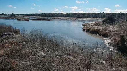 Hog Island Wildlife Management Area Live Cam - Jan 27, 2026, 12:47pm EST