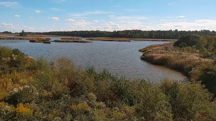 Hog Island Wildlife Management Area Live Cam - Oct 7, 2025, 3:21pm EDT