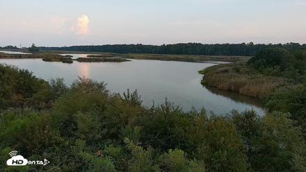 Hog Island Wildlife Management Area Live Cam - Sep 3, 2026, 6:46pm EDT