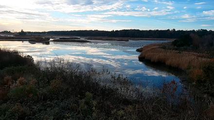 Hog Island Wildlife Management Area Live Cam - Nov 25, 2025, 8:03am EST