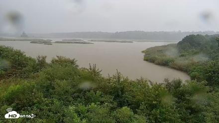 Hog Island Wildlife Management Area Live Cam - Jul 28, 2026, 7:57pm EDT