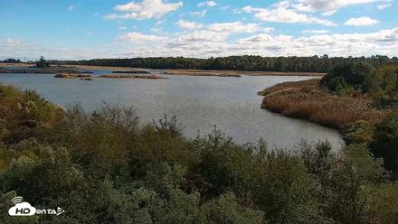 Hog Island Wildlife Management Area Live Cam - Oct 12, 2026, 3:08pm EDT
